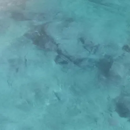 Coblanca7 Apartmán Benidorm